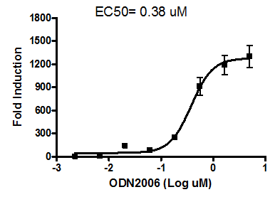 TLR9/ NF-kappaB Reporter - HEK293 Recombinant Cell Line