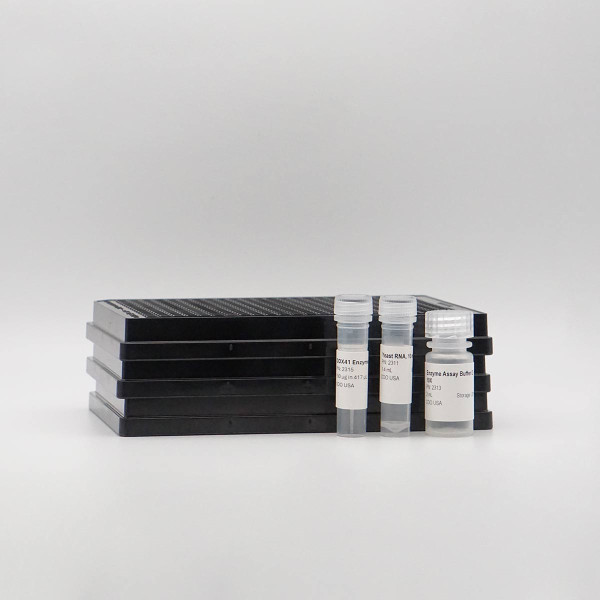 Enzolution(R) DDX41 ATPase FP Assay System