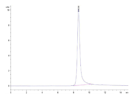 HRG/HPRG, His, Human