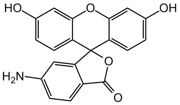6-Aminofluorescein