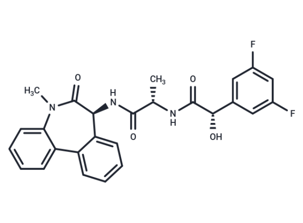 LY-411575