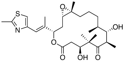 Epothilone B