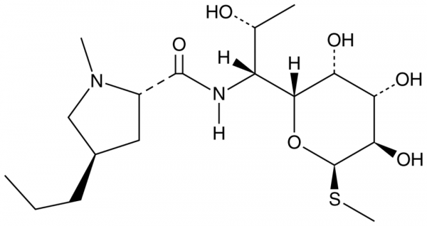 examples of lincomycin