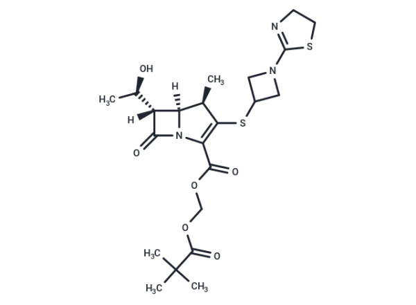 Tebipenem Pivoxil