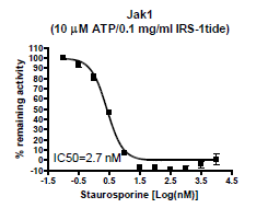 JAK1 (Janus Kinase 1) Assay Kit