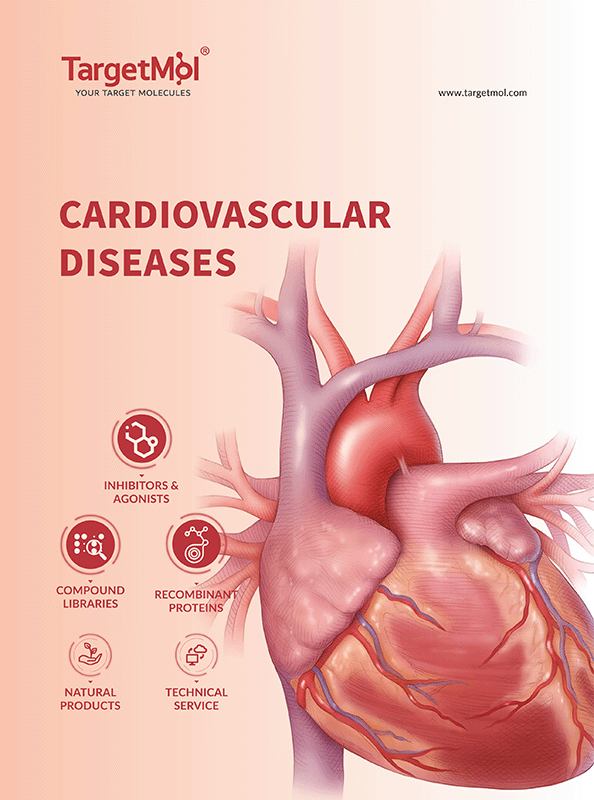 Cardiovascular Diseases