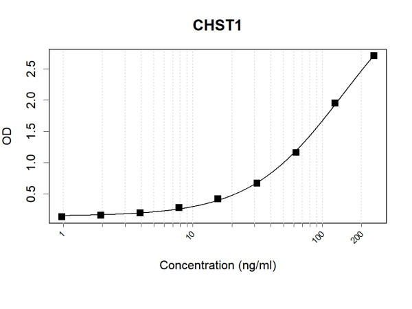 Anti-Human CHST1 Antibody Pair