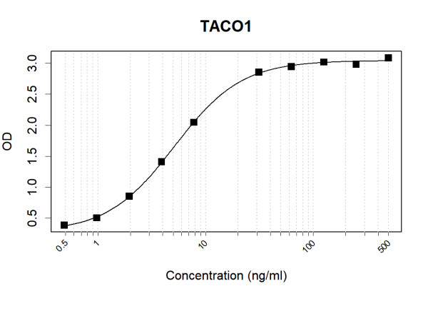 Anti-Human TACO1 Antibody Pair