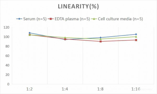 Human FGbeta (Fibrinogen Beta) CLIA Kit