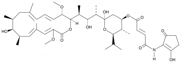 Bafilomycin B1