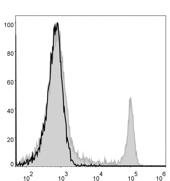 Anti-CD8a (mouse) (Alexa Fluor 488 Conjugated), clone 53.6.7