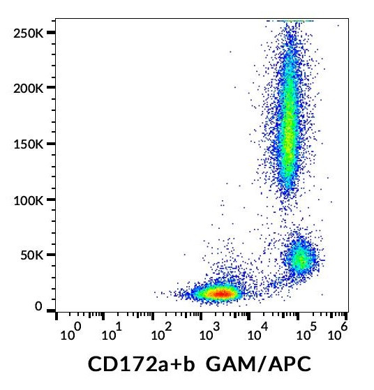 Anti-CD172a + CD172b, clone SE5A5