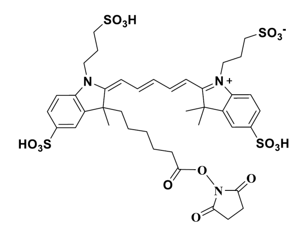 UGA 647 NHS ester [equivalent to Alexa Fluor 647 NHS ester]