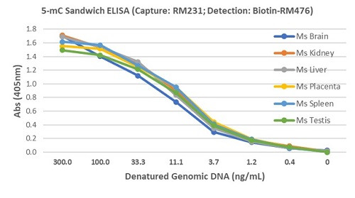 5-Methylcytosine (5-mC) DNA Matched Antibody Pair