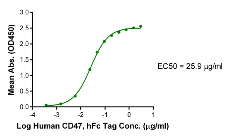 SIRP alpha V3, His &amp; Avi, Human