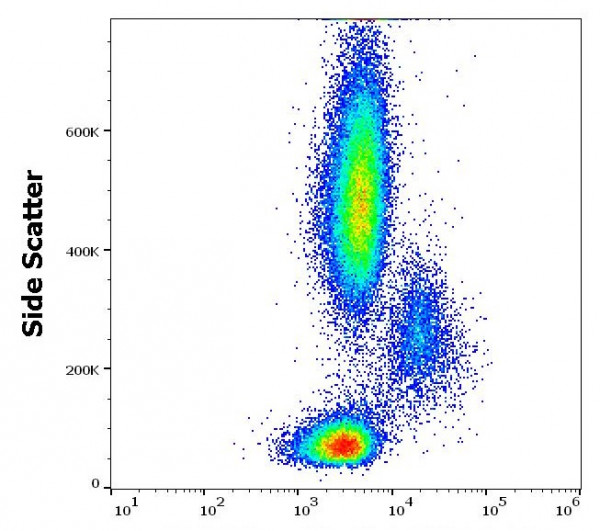 Anti-CD86, clone BU63