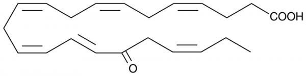 17-oxo-4(Z),7(Z),10(Z),13(Z),15(E),19(Z)-Docosahexaenoic Acid