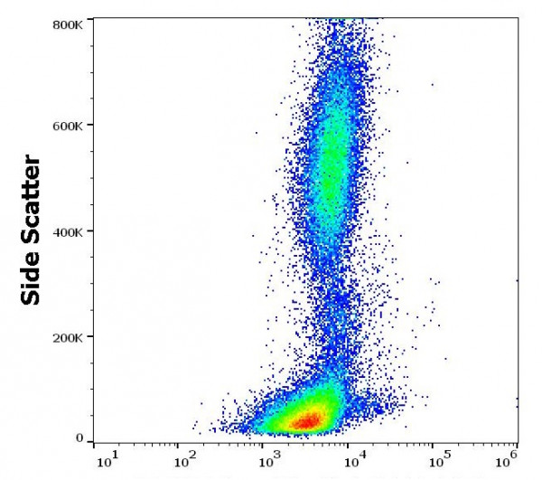 Anti-CD195 / CCR5, clone T21/8