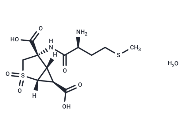 Pomaglumetad methionil
