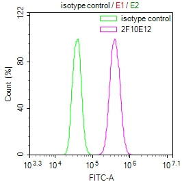 Anti-MBTPS1 Monoclonal, clone 2F10E12