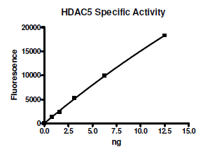 HDAC-5 full length, active human recombinant protein