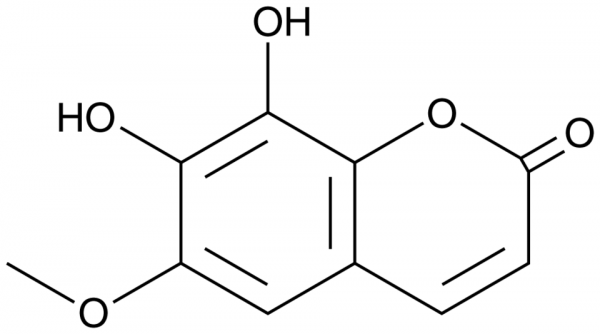 Fraxetin