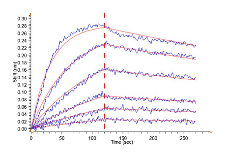 IL-1 Beta/IL-1F2, His &amp; Avi, Human