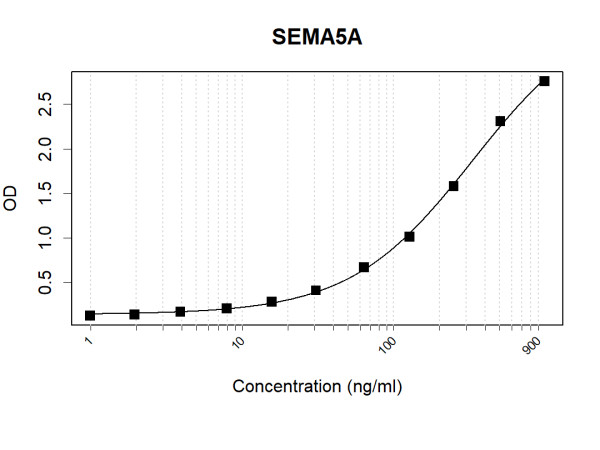 Anti-Human SEMA5A Antibody Pair