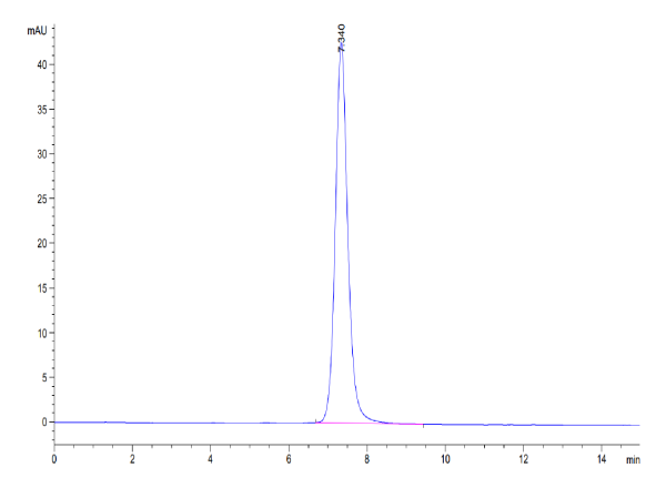 Human CD55 Protein