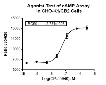 CHO-K1/CB2 Stable Cell Line