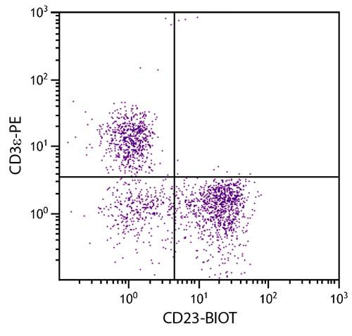 Anti-CD23 (Biotin), clone 2G8