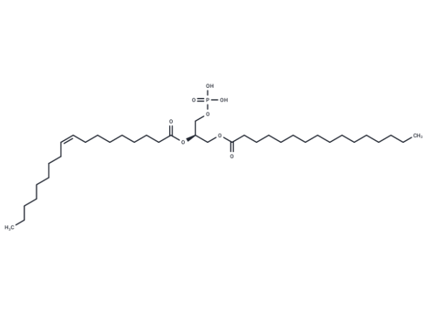1-Palmitoyl-2-Oleoyl-sn-glycero-3-PA