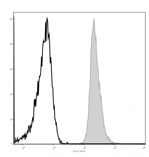 Anti-CD48 (mouse), clone HM48-1, GenieFluor 488-conjugated