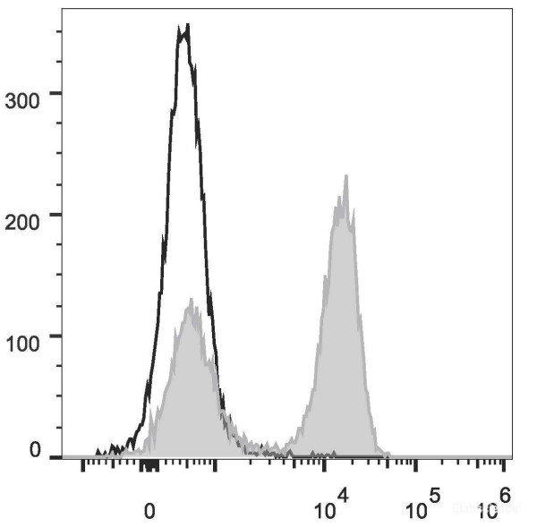 Anti-Rat CD3 (FITC Conjugated)[G4.18], clone G4.18