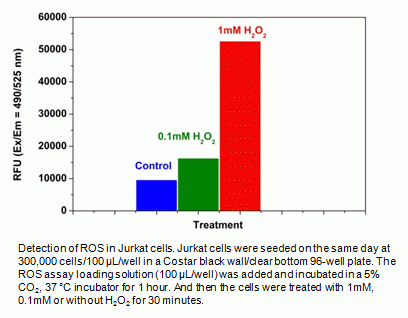 Cell Meter(TM) Fluorimetric Intracellular Total ROS Activity Assay Kit*Green Fluorescence*