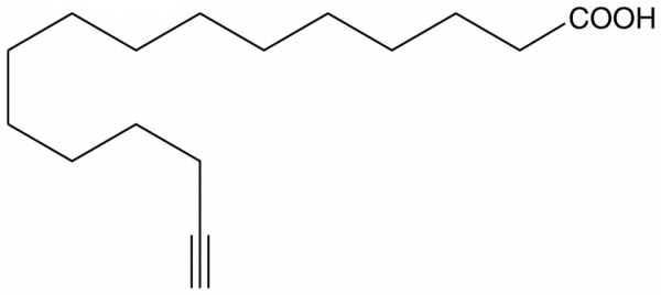 Palmitic Acid Alkyne