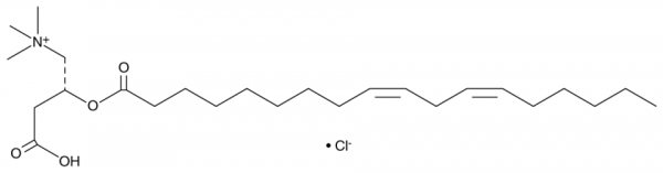 Linoleoyl-L-carnitine (chloride)