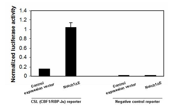 Transfection Collection(TM) : Notch1/CSL Transient Pack (Notch Signaling Pathway)