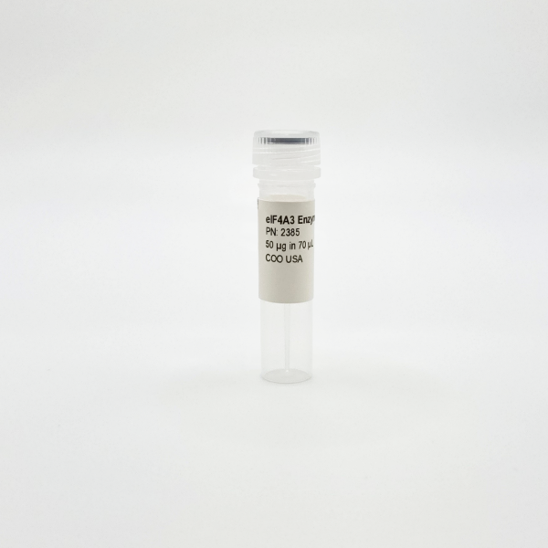 Recombinant eIF4A3 Enzyme, Active, Human