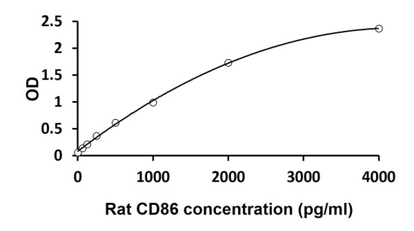 Rat CD86 ELISA Kit