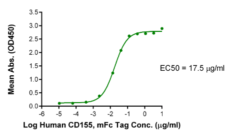 TIGIT hFc Chimera, Human