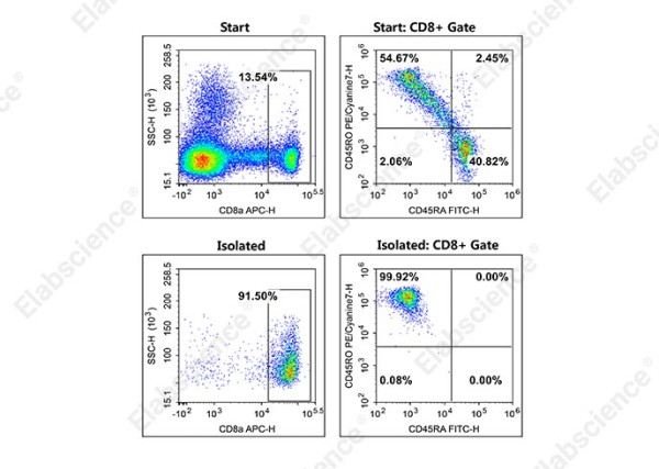 EasySort(TM) Human Memory CD8+T Cell Isolation Kit