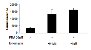 NFAT Reporter - Hek293 Cell Line (PKC/ Ca2+ Pathway)