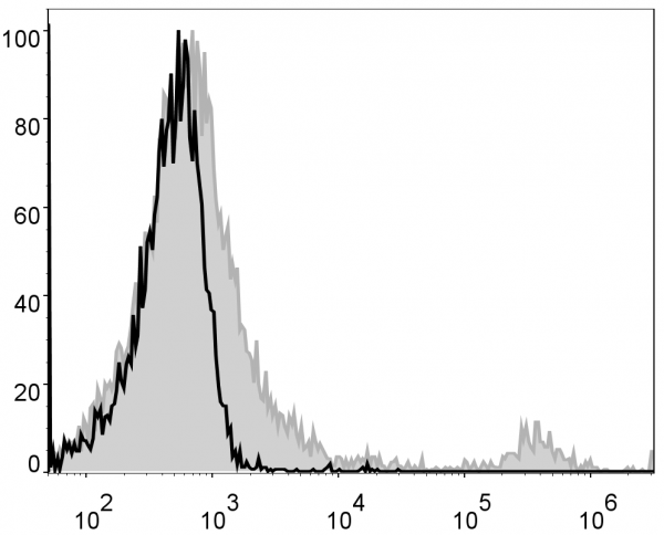 Anti-CD8a (mouse) (PE Conjugated), clone 53.6.7