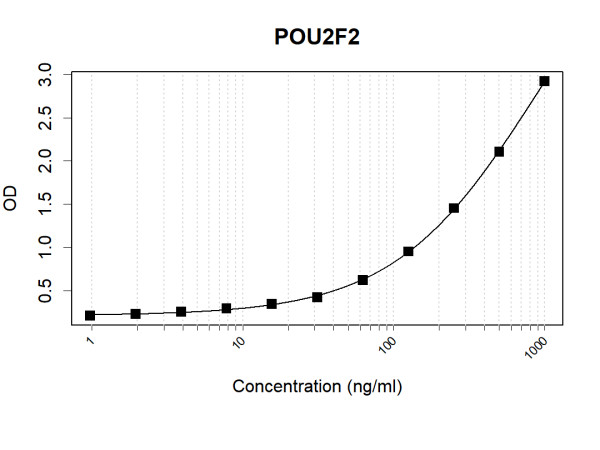 Anti-Human Oct-2 Antibody Pair
