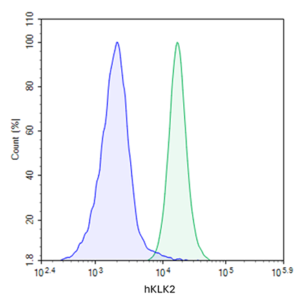 Membrane KLK2 CHO Cell Line
