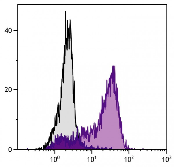 Anti-CD152 / CTLA4 (FITC), clone 1B8