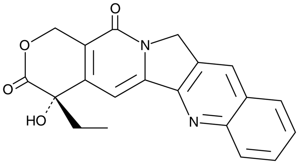 Camptothecin | CAS 7689-034 | Cayman Chemical | Biomol.com