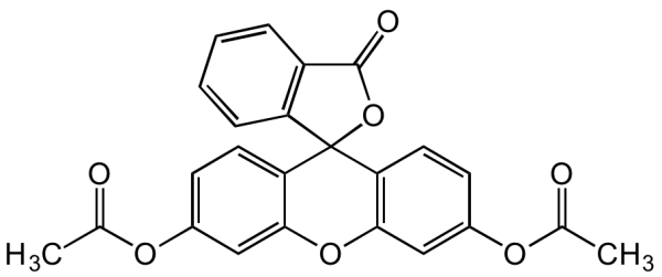 Fluorescein diacetate