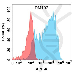 Anti-CCR8 antibody(DM197), Rabbit mAb